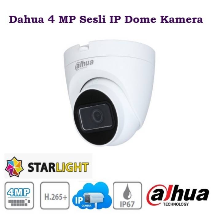 Dahua 4 MP Sesli IP IR Dome Kamera IPC-HDW1431T-AS-S2
