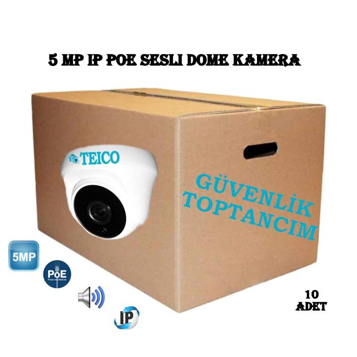 5 MP IP PoE Sesli Toptan Dome Güvenlik Kamerası Teico-3256