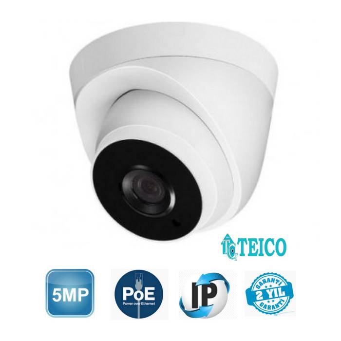 5 MP IP PoE Büyük Kasa Dome Güvenlik Kamerası Teico-3560