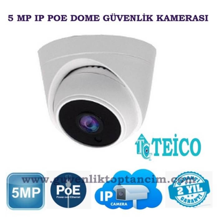 5 MP IP PoE Büyük Kasa Dome Güvenlik Kamerası Teico-3560