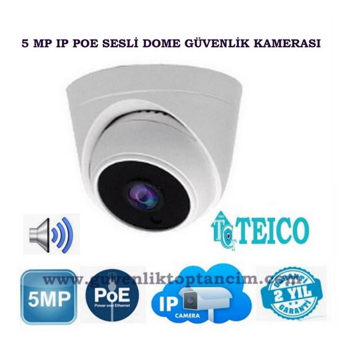 5 MP IP Poe Sesli Büyük Kasa Dome Güvenlik Kamerası Teico-3650