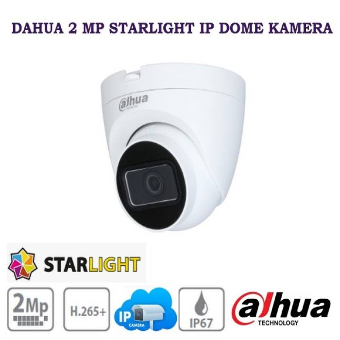 Dahua 2 MP Sesli IP IR Dome Kamera IPC-HDW1230V-SA